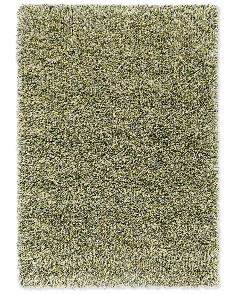 Brink Campman Spring Evergreen 59107 A