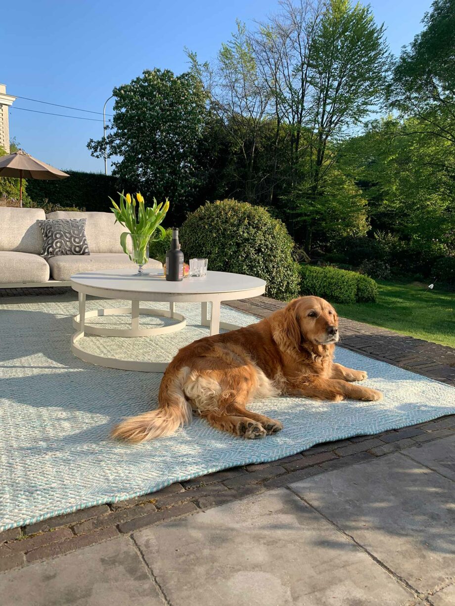 Angelo Rugs Terraza Outdoor 3038 19 S6 TCH