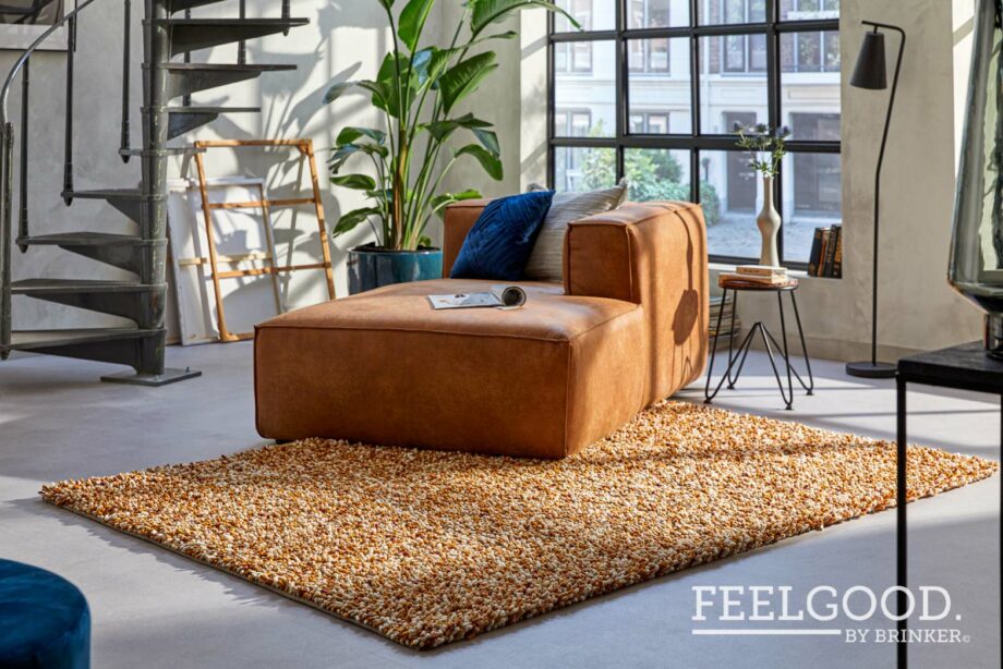 Brinker Carpets rug Alto Cognac interior 1