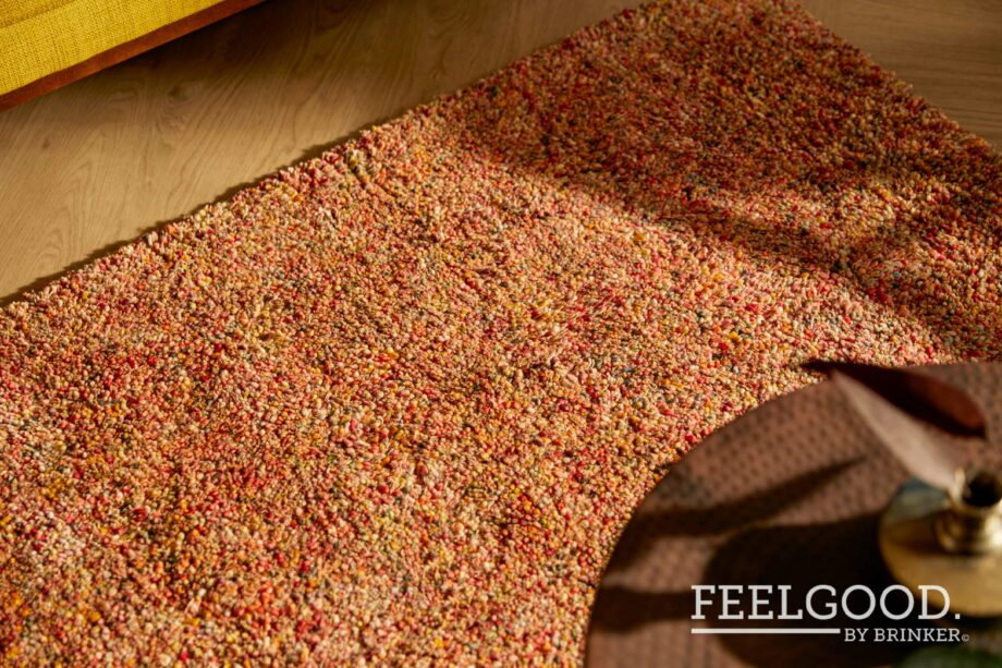 Brinker Carpets rug Salsa 63 interior 2