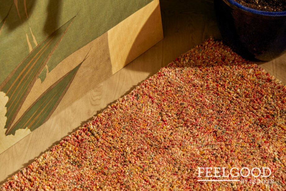 Brinker Carpets rug Salsa 63 interior 4