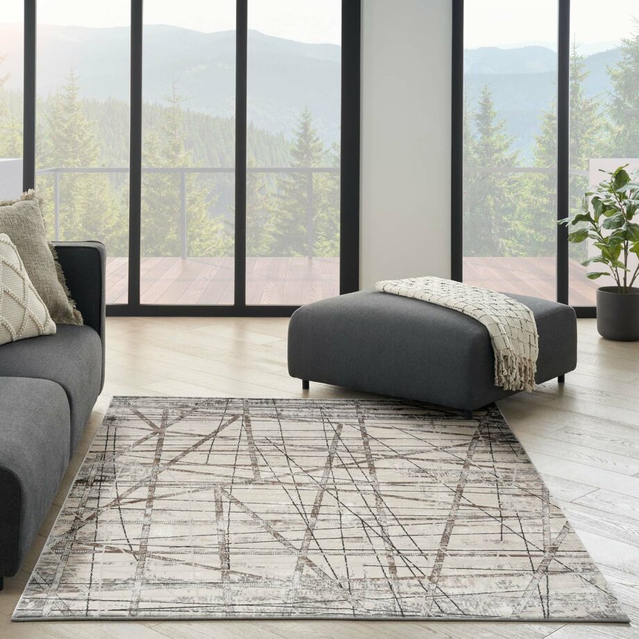 Nourison rug Desire DSR03 GRSIL GREY SILVER 5X7 099446129130 interior 1