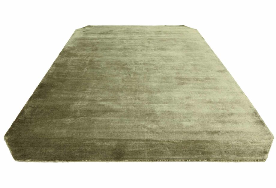 Asiatic rug Gleam Sage 3D