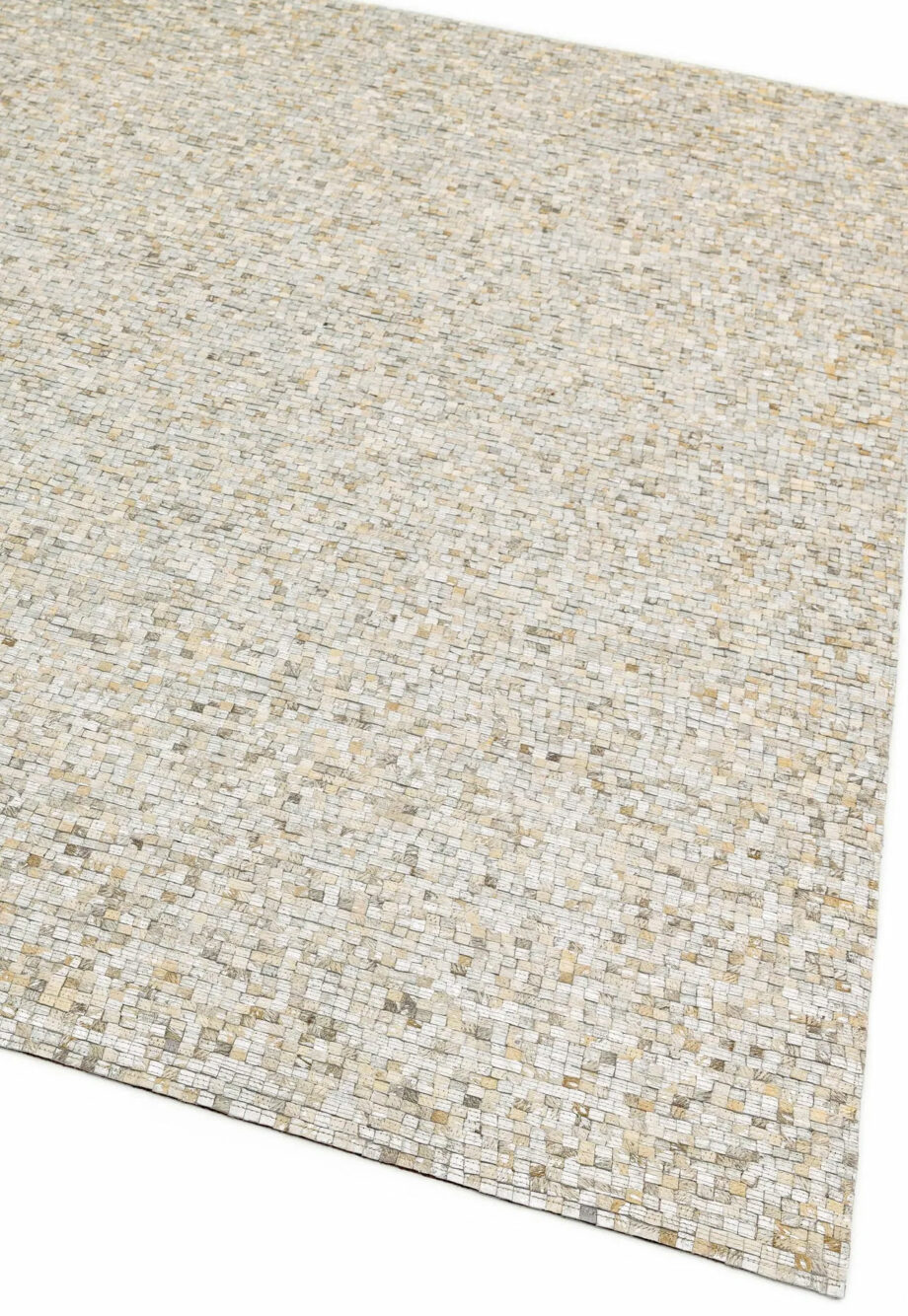 Asiatic Elona silver 1