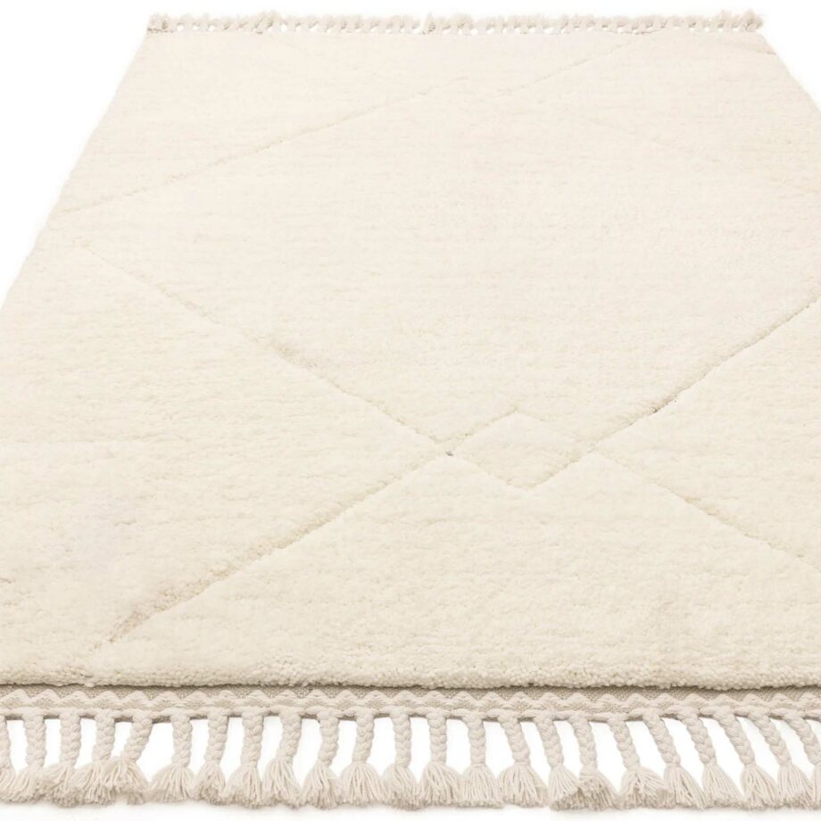 Asiatic Fes FE03 rug 1