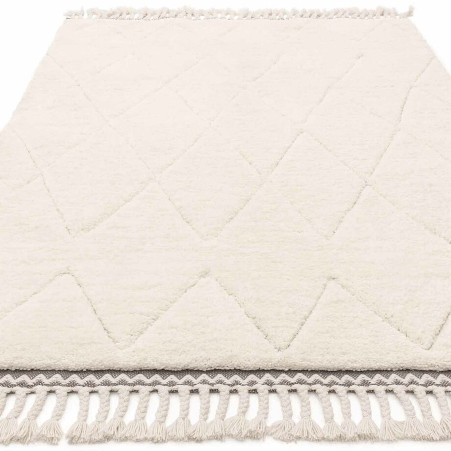 Asiatic Fes FE05 rug 1