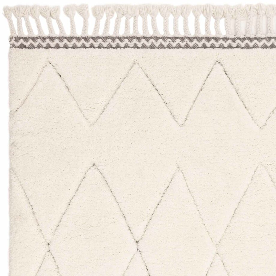 Asiatic Fes FE05 rug 2