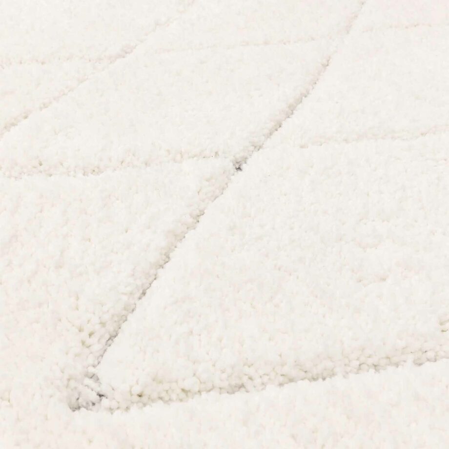 Asiatic Fes FE05 rug 4